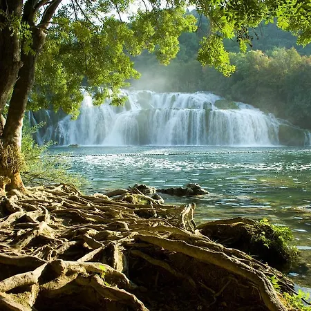 Brkic * Lozovac
