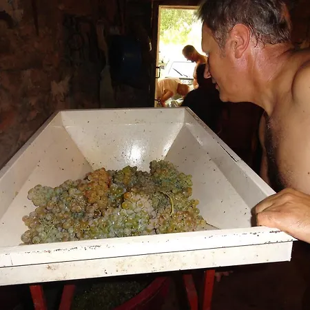 Brkic, Krka Np With Pool *