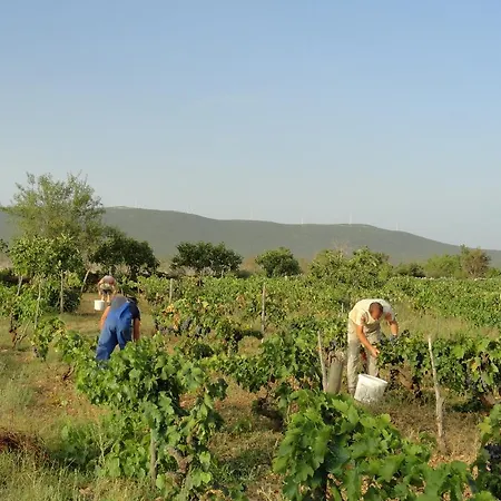 Brkic, Krka Np With Pool Lägenhet