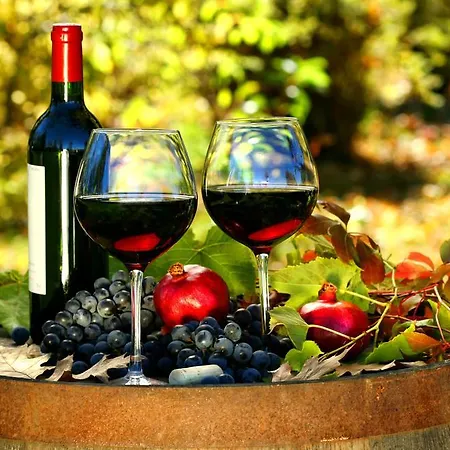 Brkic, Krka Np With Pool *