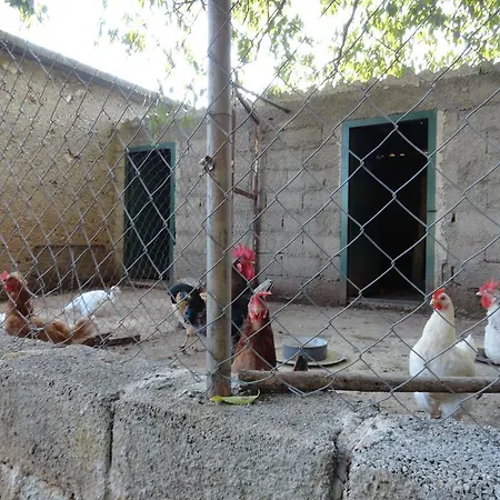Appartement Brkić, Krka Np With Pool