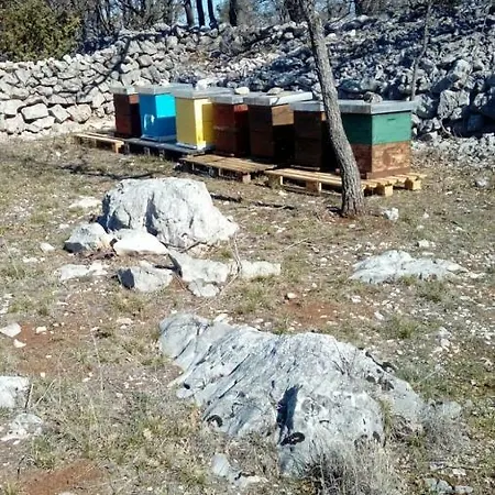 Brkic, Krka Np With Pool Lägenhet Lozovac