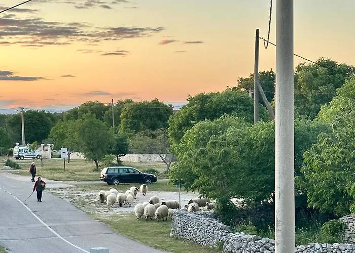Appartement Brkic, Krka Np With Pool