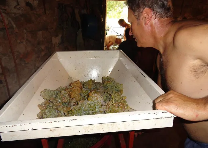 Brkic, Krka Np With Pool *