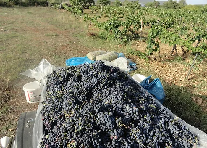 Brkic, Krka Np With Pool Apartment *