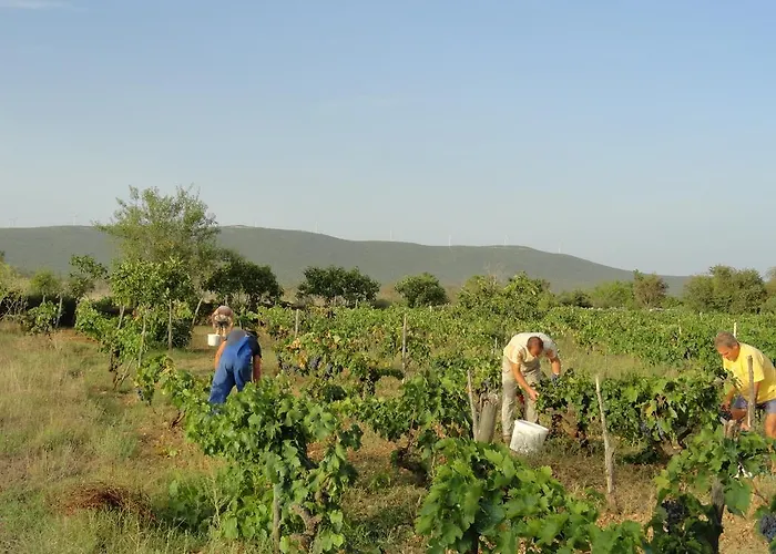 Brkic, Krka Np With Pool Appartement