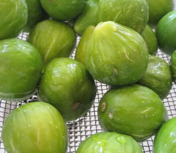 Brkic, Krka Np With Pool Lozovac