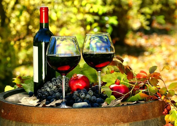 Brkic, Krka Np With Pool *