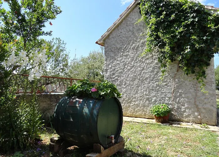 Brkic, Krka Np With Pool Apartment Lozovac