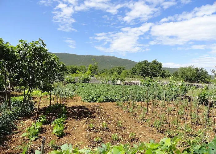 Brkic, Krka Np With Pool Apartment