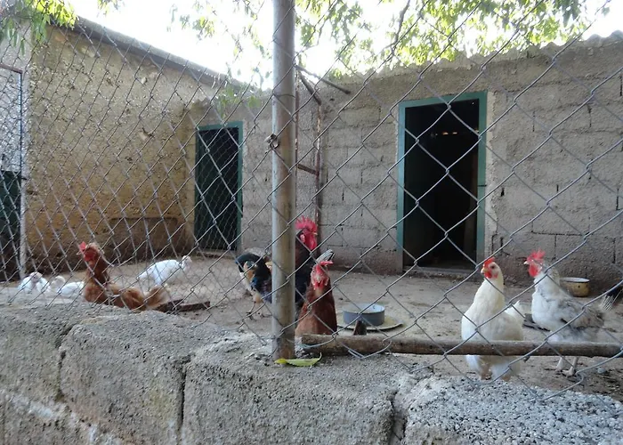 Appartement Brkic, Krka Np With Pool