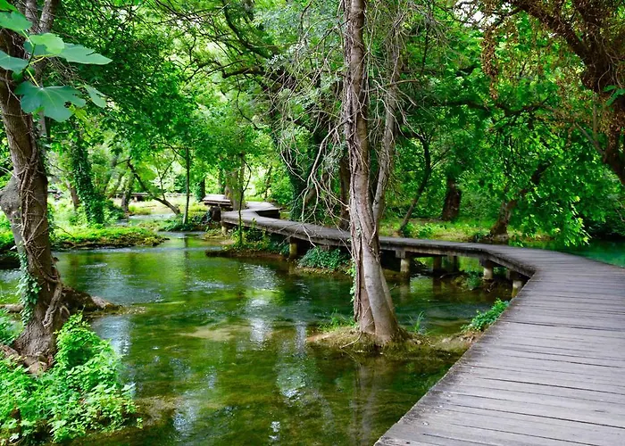 Brkic, Krka Np With Pool Apartment Lozovac