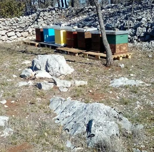 Brkic, Krka Np With Pool Appartement Lozovac